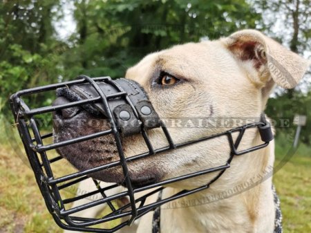 Wire Dog Muzzle for Pit Bull, covered with black rubber