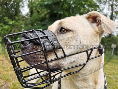 Bestseller Drahtmaulkorb für Pitbull, bedeckter mit schwarzem Gummi