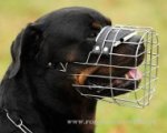 Außergewöhnlicher Rottweiler Korb aus Draht