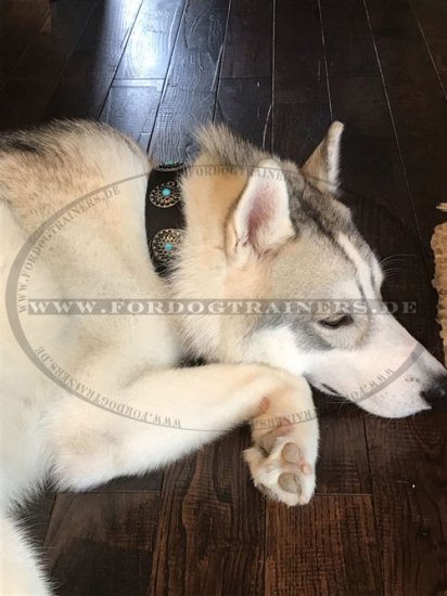 Husky Designer Lederhalsband mit blauen Steinen