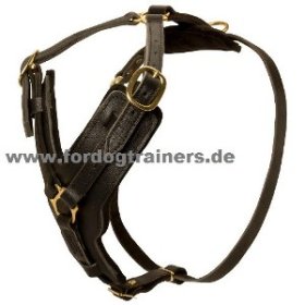 Padded Dog Harness for Schutzhund, Luxury Design