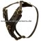 Padded Dog Harness for Schutzhund, Luxury Design