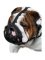 Dog Muzzle Leather Padded | English Bulldog Muzzle Individually