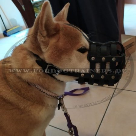 Leichter Hundemaulkorb aus Leder mit super Luftzirkulation