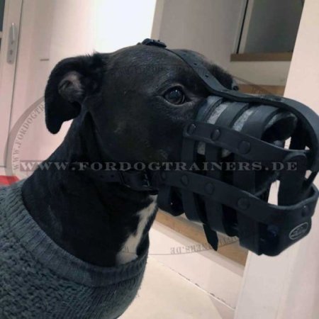 Amstaff Leather Dog Muzzle with Perfect Ventilation