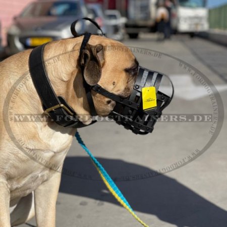 Bestseller Bullmastiff Leichter Hundemaulkorb aus Leder