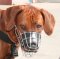 Bestseller Rhodesian Ridgeback Draht Maulkorb