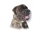 Best wire dog muzzle perfect for Bullmastiff