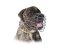 Bestseller Bullmastiff Bester Draht Maulkorb Hund