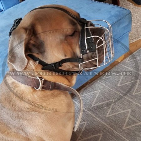 Wire Basket Dog Muzzle for Cane Corso