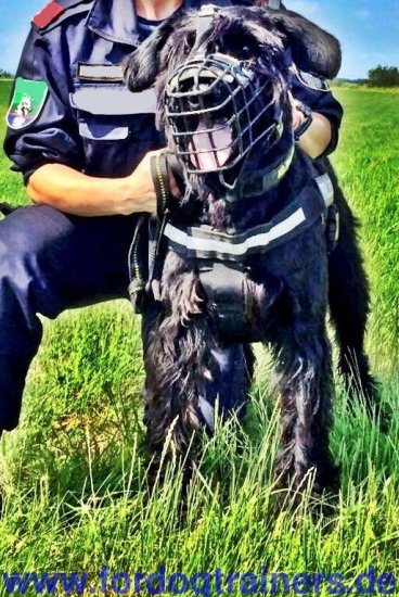 Police Muzzle for Riesenschnauzer