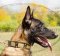 Malinois Super Halsband | Hundehalsband mit Schildern&Pyramiden