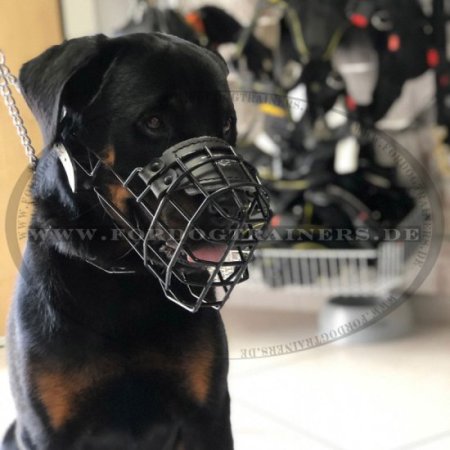 Drahtmaulkorb für Rottweiler | Hundemaulkorb Winter