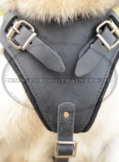 Bestseller Hundegeschirr Gepolstert | Husky K9 Geschirr Leder ❺ - zum Schließen ins Bild klicken