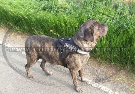 Nylon reflektierendes Mehrzweck Hundegeschirr, Cane Corso