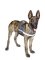 Nylon reflective multi-purpose dog harness for Malinois