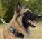 Tervuren Dog Collar from Nylon with Patches