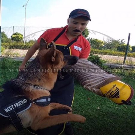 Traditional apron leather for dog training