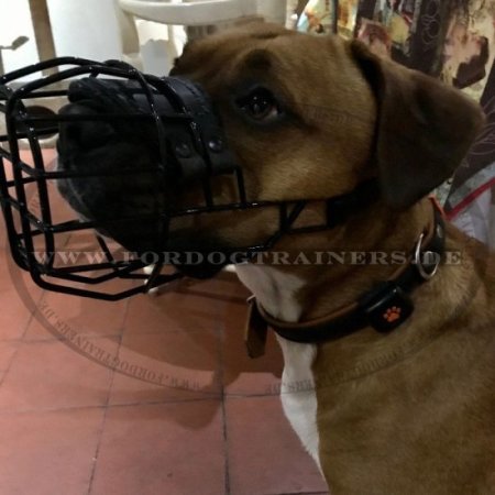 Winter Cage Dog Muzzle for Bullterrier 2023