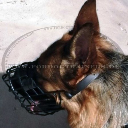 Wire dog muzzle for German Shepherd, covered by black ruber