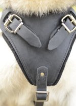 Bestseller Hundegeschirr Gepolstert | Husky K9 Geschirr Leder ❺