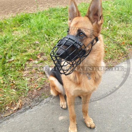 Wire dog muzzle for German Shepherd, covered by black ruber