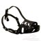 Padded dog muzzle for every day use, walks, trainings