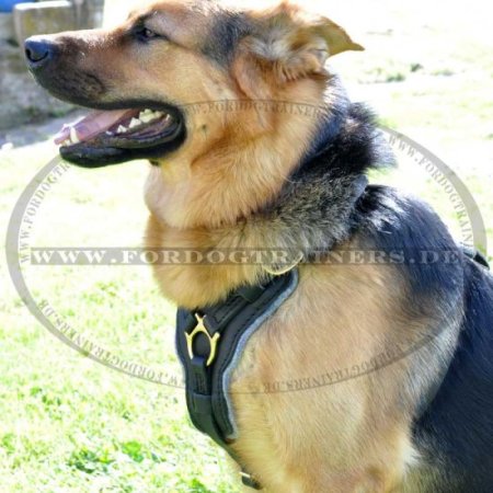 German Shepherd Luxury Handcrafted Padded Leather Harness