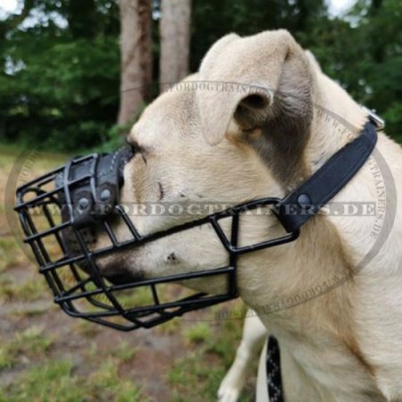 Wire Dog Muzzle for Pit Bull, covered with black rubber