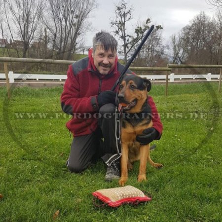 Bestseller IGP Stock für Hunde Training & Schutzhund