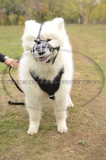 Hundemaulkorb aus Draht für Samojede