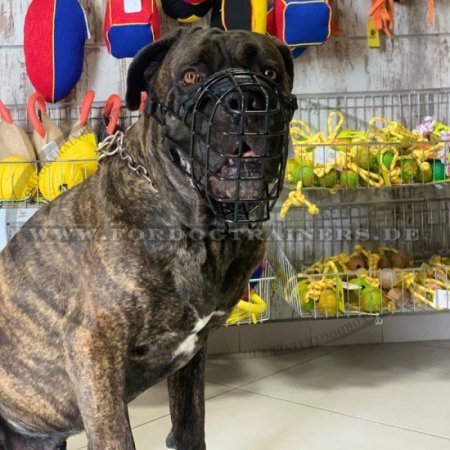 Draht Maulkorb für Bullmastiff, fallen durch schwarze rube