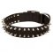 Hundehalsband aus Nylon mit Spikes