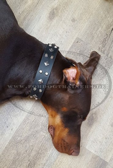 Genietetes Lederhalsband für Dobermann im ägyptischen Stil - zum Schließen ins Bild klicken