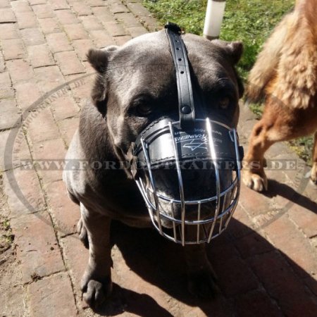 Bestseller Drahtmaulkorb für Cane Corso, freies Hecheln & Trinken ❺