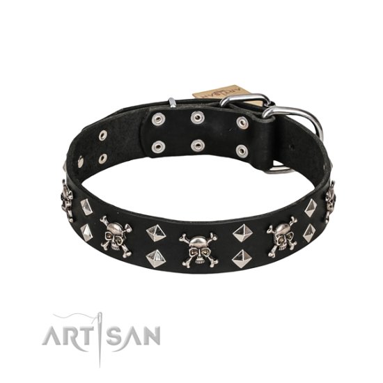 Starkes Hunde Halsband "Rock 'n' Roll Style" FDT Artisan - zum Schließen ins Bild klicken