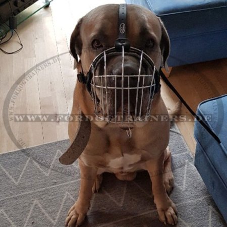 Wire Basket Dog Muzzle for Cane Corso