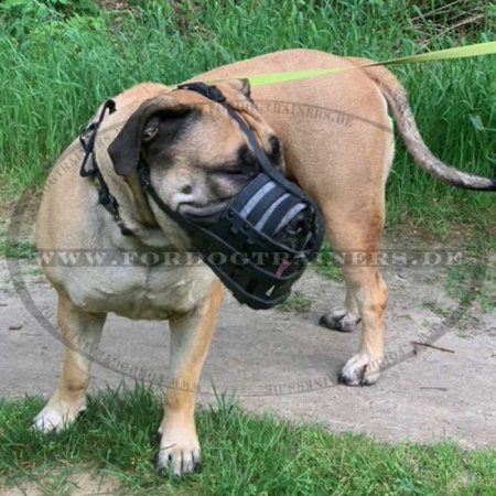 Bestseller Bullmastiff Leichter Hundemaulkorb aus Leder