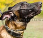 Halsband geflochten für Malinois | Lederhalsband geschmückt