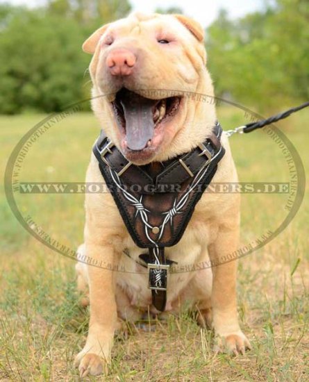 Hundegeschirr K9 Gepolstert | Design Geschirr für Sharpei ✲