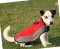 Hundemantel aus Nylon für Jack Russell Terrier