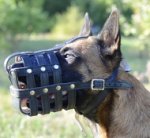 Bestseller Hundemaulkorb aus Leder für Malinois, Super Leicht