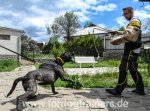 Schutzärmel für Titan-Bandogge, große Schutzhunde-Training!