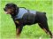 Nylon Outdoor dog vest-harness for Rottweiler