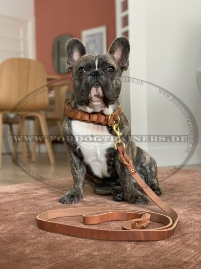 Handcrafted leather dog leash for walking/tracking, 20mm