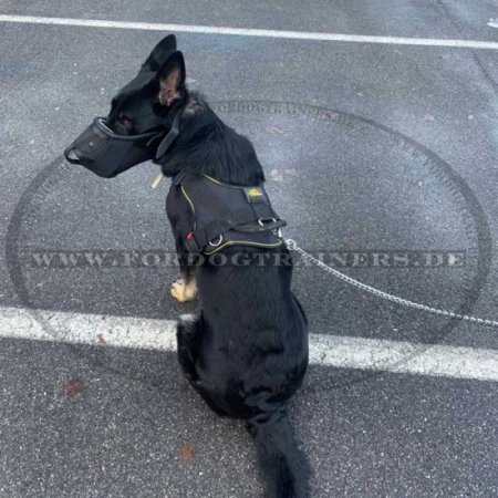 Deutscher Schäferhund Nylon Hundegeschirr