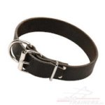 Festes Hundehalsband Leder 5 cm für Hundetraining