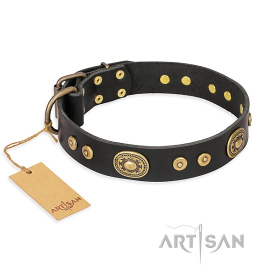 Exklusives Hundehalsband aus Leder "Golden Radiance" FDT Artisan