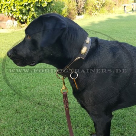 Dog Leather Collar for Labrador in Retro Design