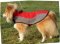 Nylon Dog Coat for Sheltie